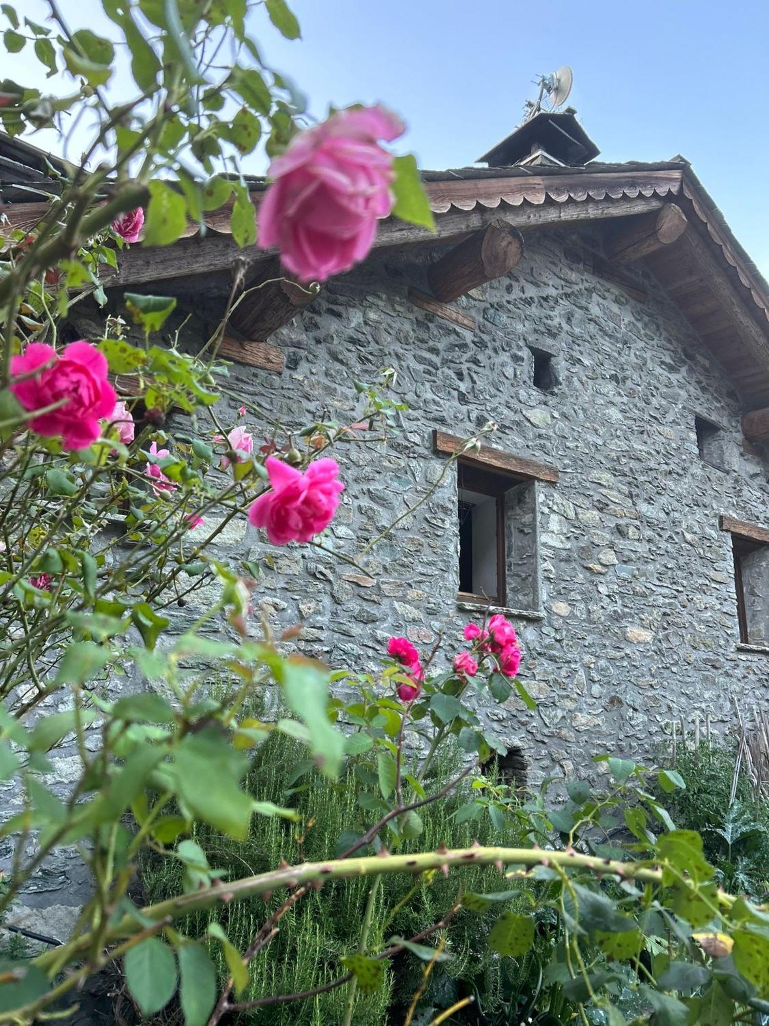 Villa Lo Peyo à Châtillon Extérieur photo